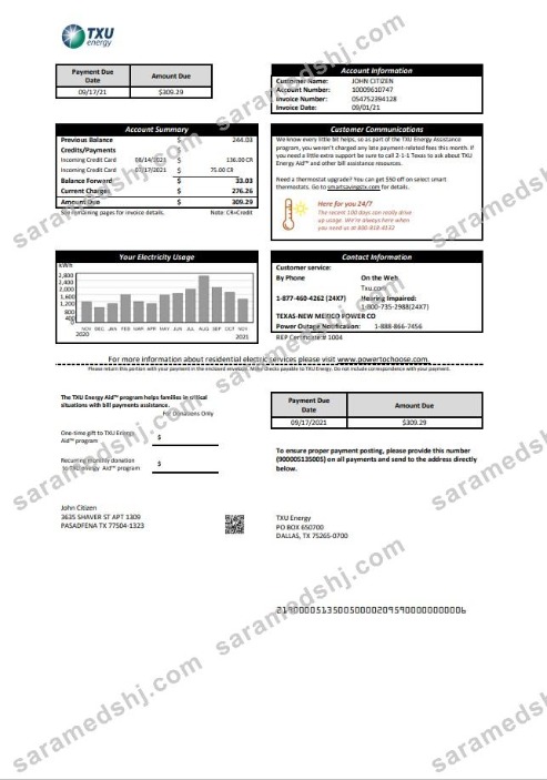 USA Texas TXU Energy utility bill template in Word and PDF format